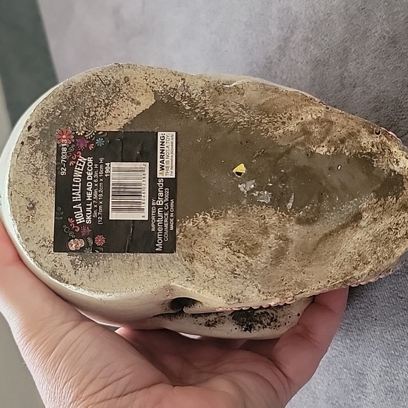 Skull - decorated - Picture 6 of 9